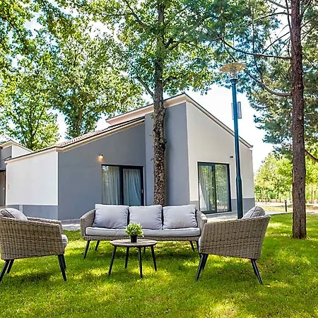 Forest Resort