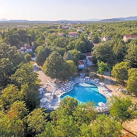 Resort Forest
